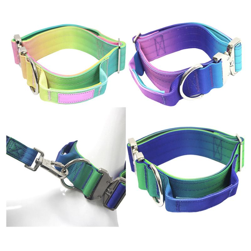 2pcs Premium Gradient Dog Collar Set – Stylish & High-Quality