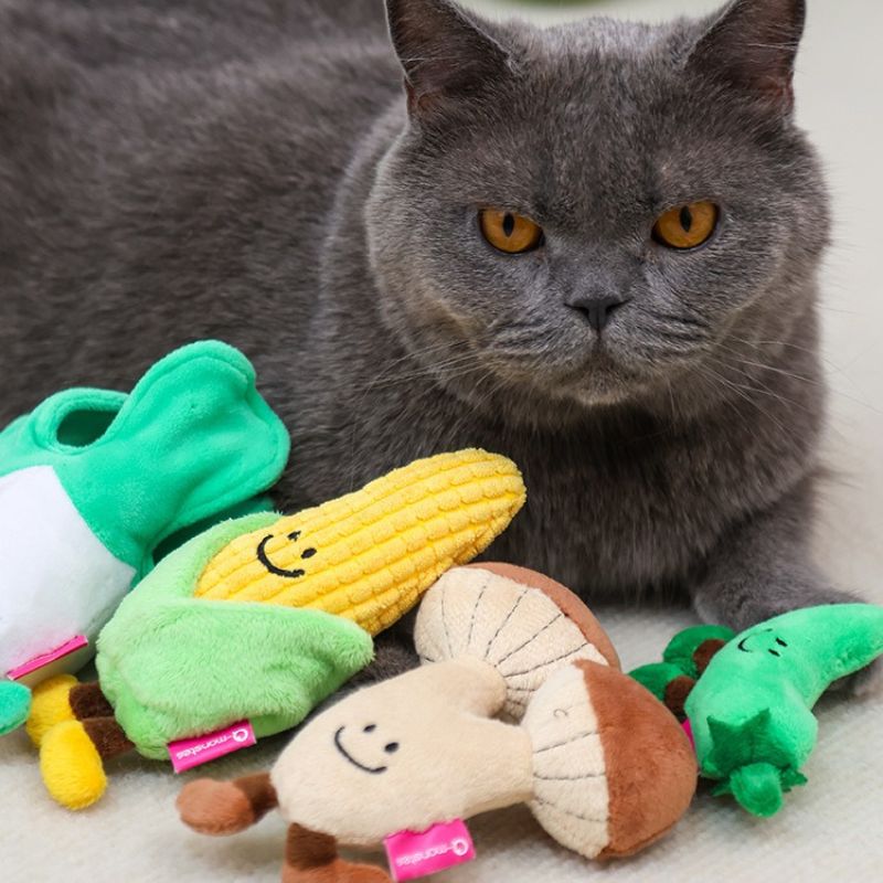 Catnip Crinkle Toy for Cats – MeowBuzz Catnip Crinkle