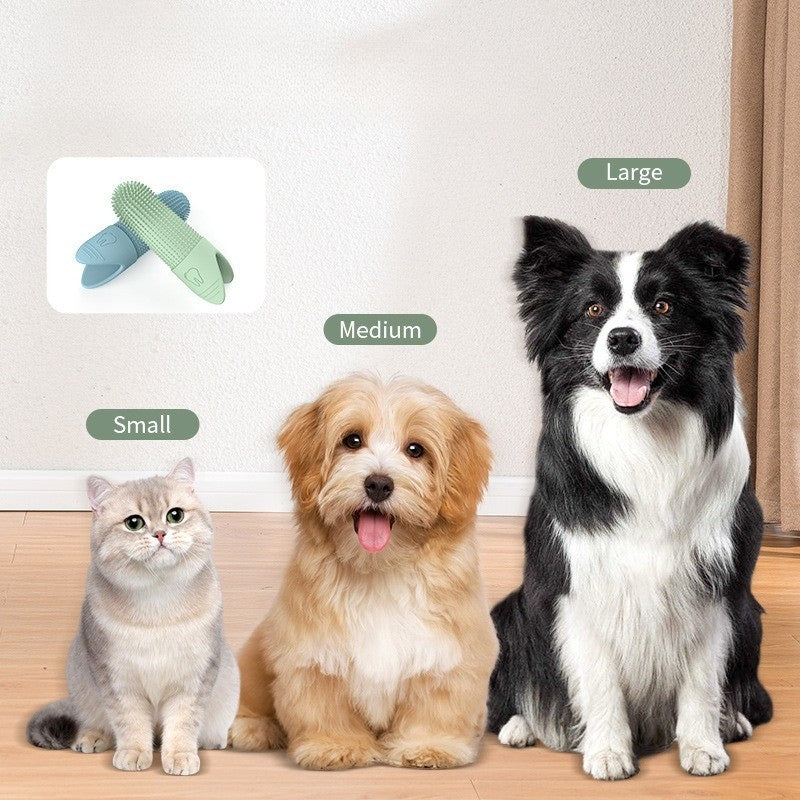Pet Toothbrush