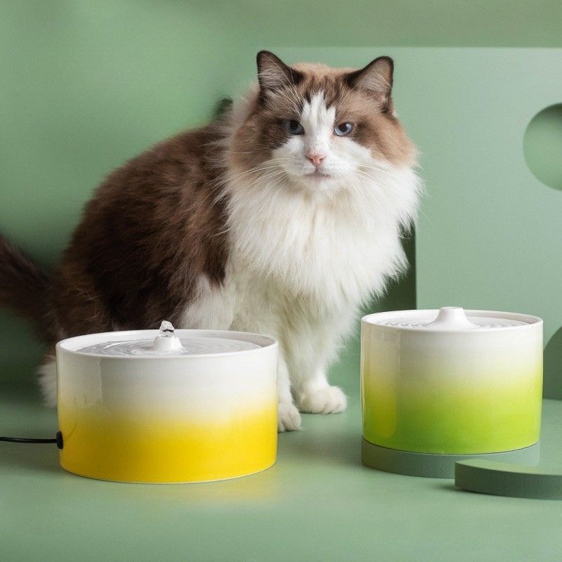 Ceramic Pet Water Fountain | Quiet Circulating Drinking Fountain for Cats & Dogs