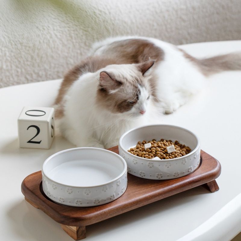 Embossed Ceramic pet Bowl with Natural Acacia Wood Base | Oriental Aesthetic Design