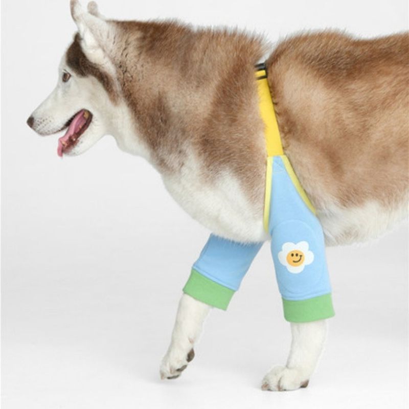 Dog Elbow & Knee Protector Sleeve – Joint Support Clothing for Large Dogs, Anti-Dirt & Injury Prevention