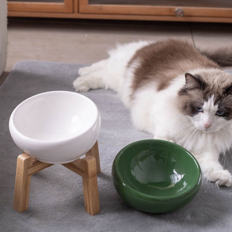 Vibrant Underglaze Ceramic Pet Bowl ｜Elevated Underglaze Feeder