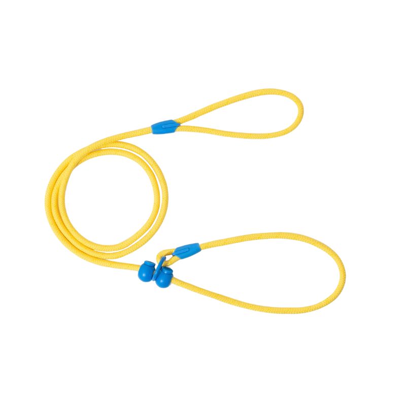 Professional Dog Training Slip Lead – Heavy Duty P Leash with Anti-Pull Control 7mm