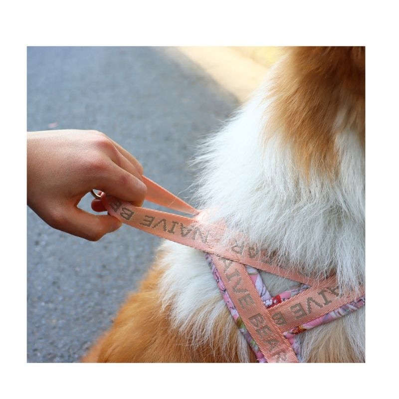Saddle-Style Harness for Medium & Large Dogs｜No-Pull, Secure Fit, Adjustable
