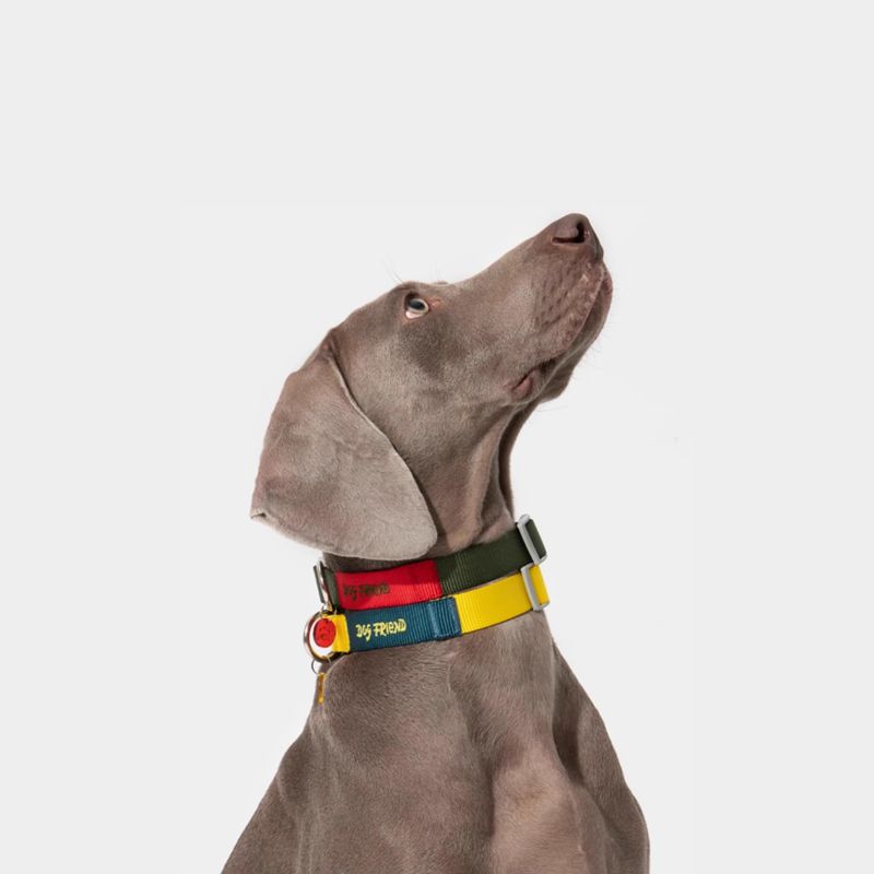 Multi-Functional Dog Leash Set with Quick-Release Handle