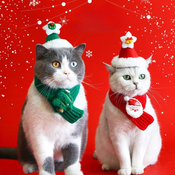 Holiday Knitted Pet Scarf & Hat Set