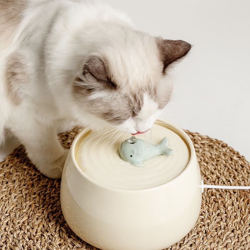 Zen-Inspired Ceramic Pet Fountain with Kiyoyu Motif｜Silent Flow｜Oriental Aesthetic for Cats & Dogs