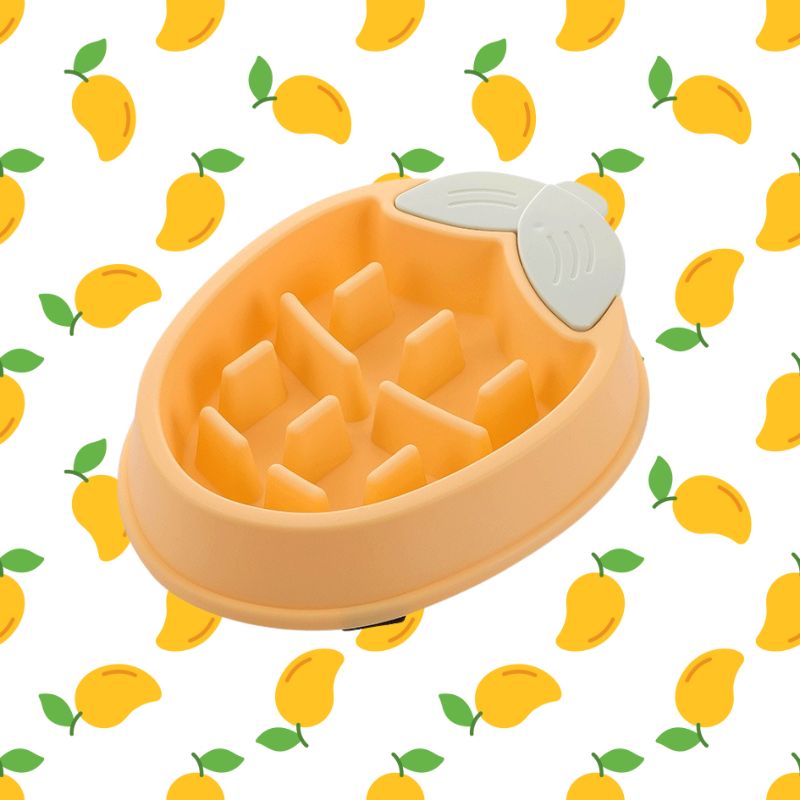 Cute Fruit Design Pet Slow Feeder Bowl – Anti-Gulping & Non-Slip