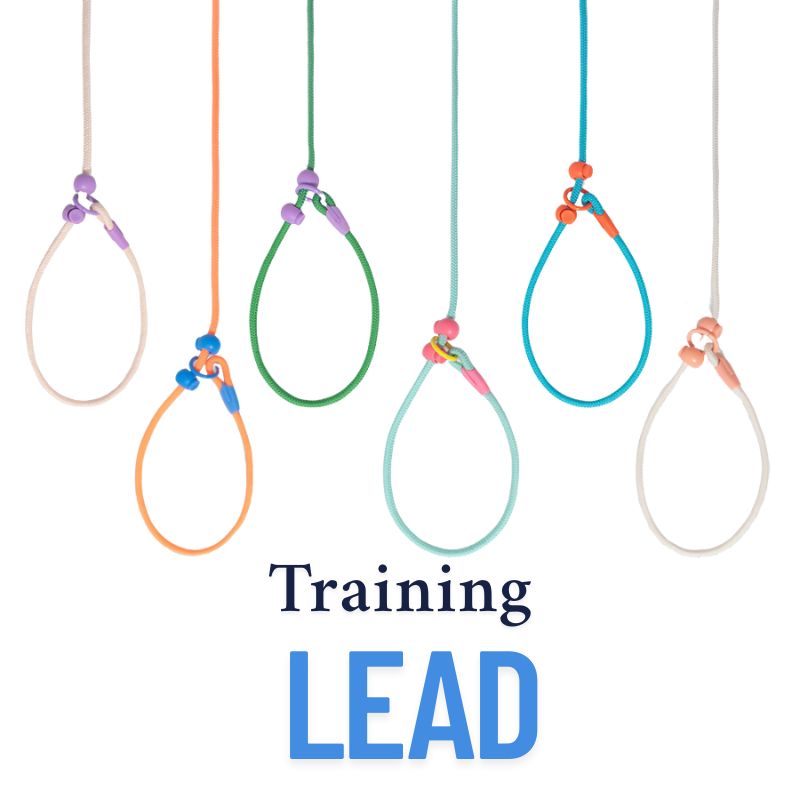 Professional Dog Training Slip Lead – Heavy Duty P Leash with Anti-Pull Control 7mm