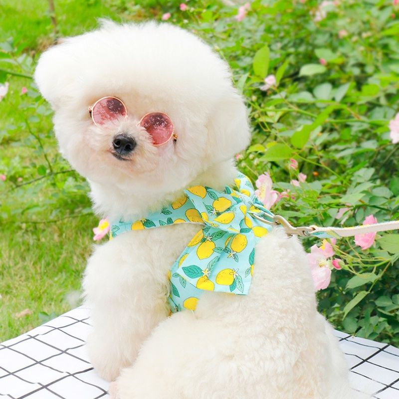 Adjustable Harness for Small Pets – Soft & Breathable Pet Vest for Cats and Small Dogs, Secure Chest Strap, Easy to Wear