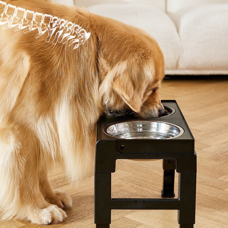 Adjustable Elevated Slow Feeder Bowl Set for Medium and Large Dogs