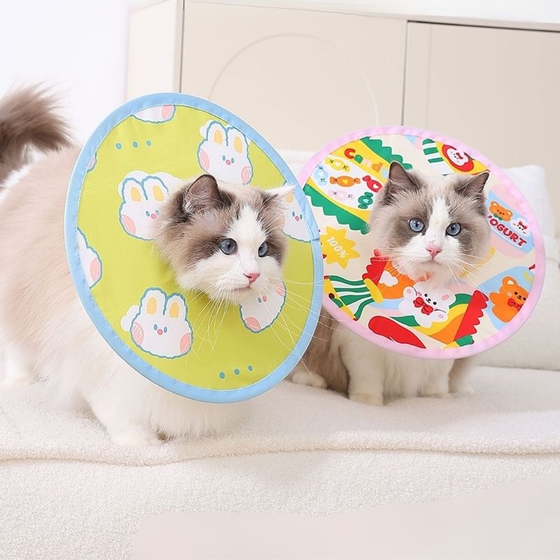 Soft Cat Recovery Cone (E-Collar) | Comfortable Elizabeth Collar for Post-Surgery