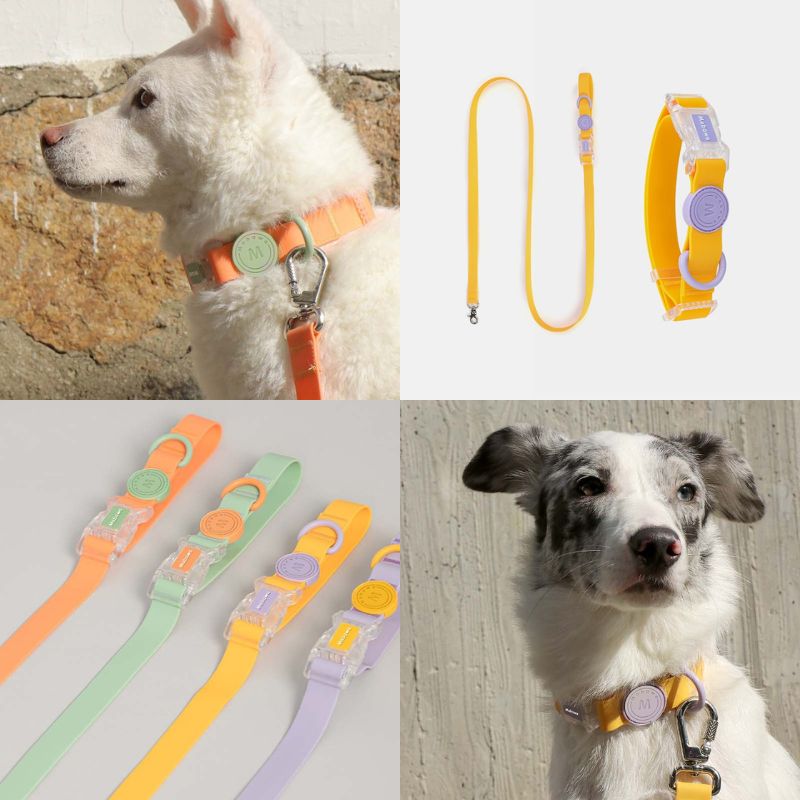 Waterproof Outdoor Dog Collar