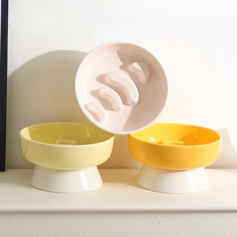 Elevated Ceramic Slow Feeder Bowl