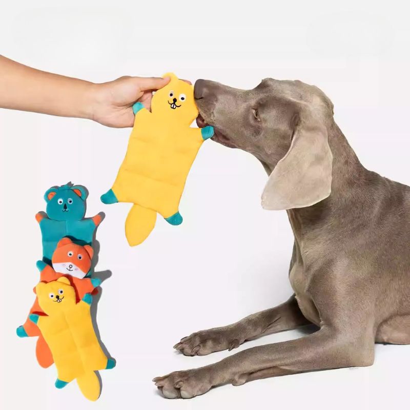 2get 1 free Durable Squeaky Dog Toy – Interactive Chew Sound Toy for all Dogs