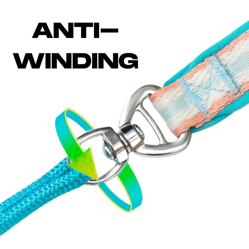 Anti-Choke Training P Leash for Dogs｜Slip-Style Lead