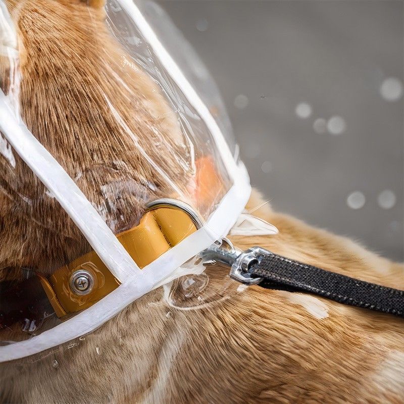Transparent Waterproof Dog Raincoat – Lightweight Pet Rain Jacket, Multiple Sizes Available