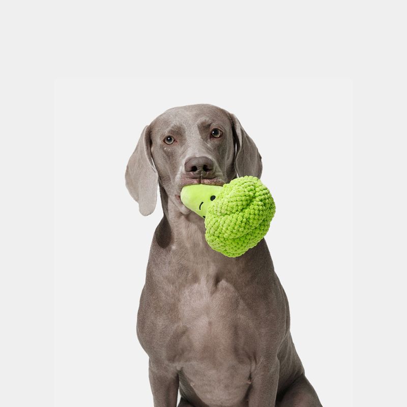 Soft Chew Squeaky Dog Toy – Gentle Sound