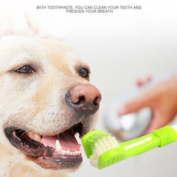 5pcs 360° Pet Toothbrush – Finger Toothbrush for Dogs and Cats, Soft Bristles, Easy Dental Cleaning