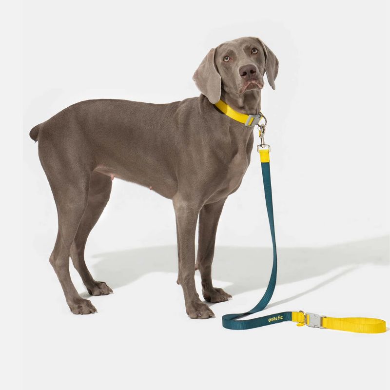 Multi-Functional Dog Leash Set with Quick-Release Handle