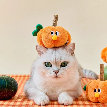 Natural Silvervine Cat Toy – Durable Chew & Scratch Stick for Cats