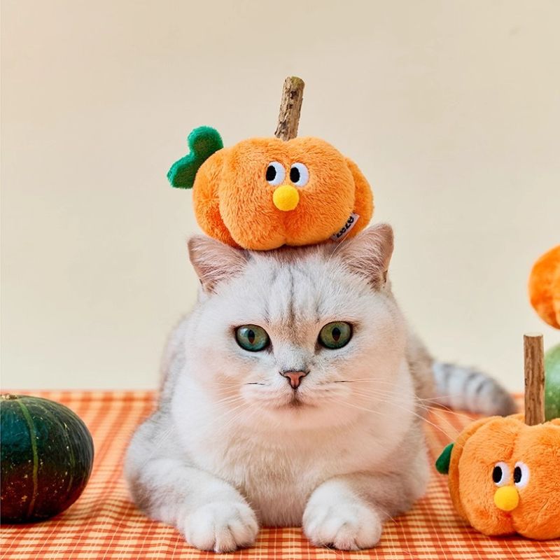 Natural Silvervine Cat Toy – Durable Chew & Scratch Stick for Cats