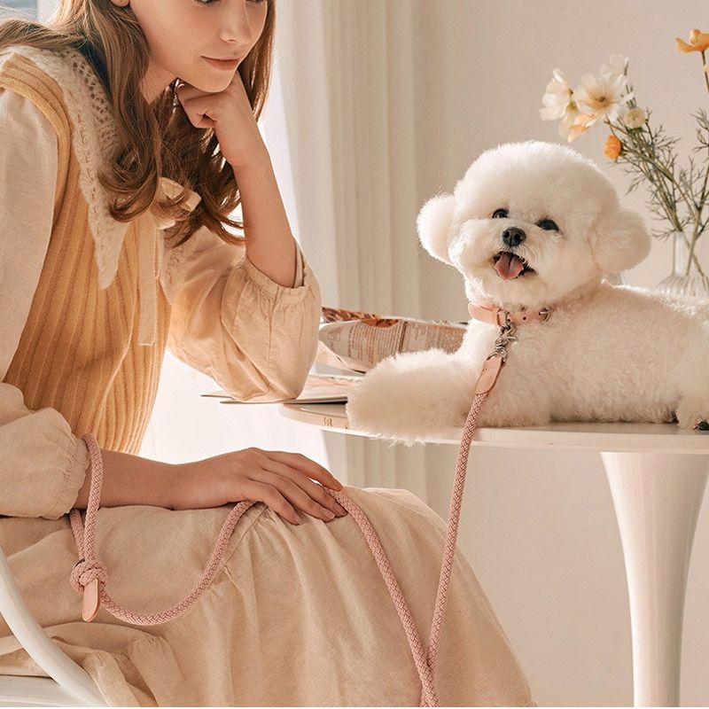 Premium Leather Dog Collar and Leash Set –  Harness for Small & Medium Dogs