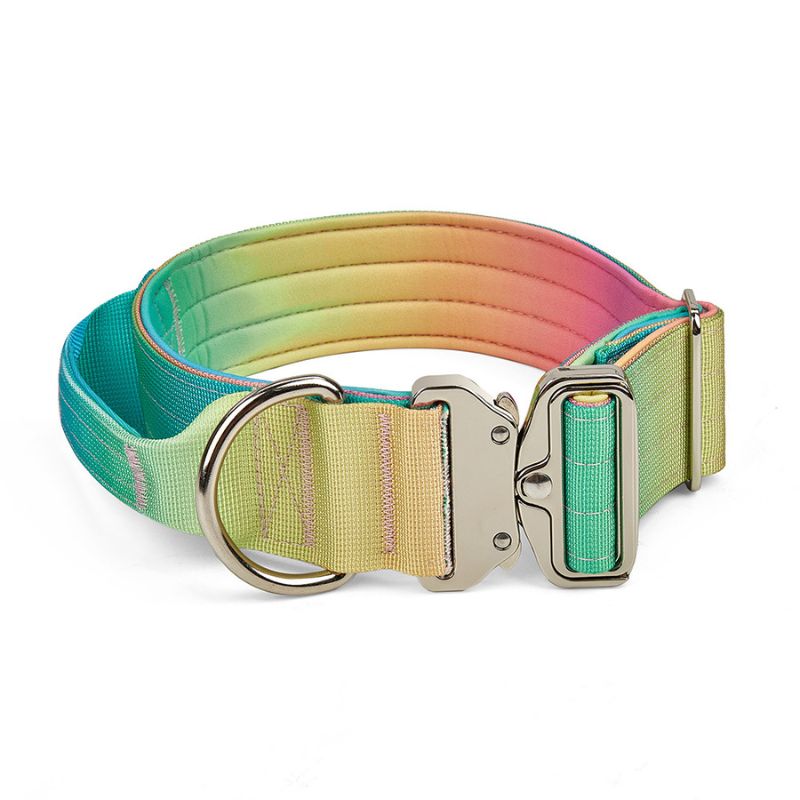 2pcs Premium Gradient Dog Collar Set – Stylish & High-Quality