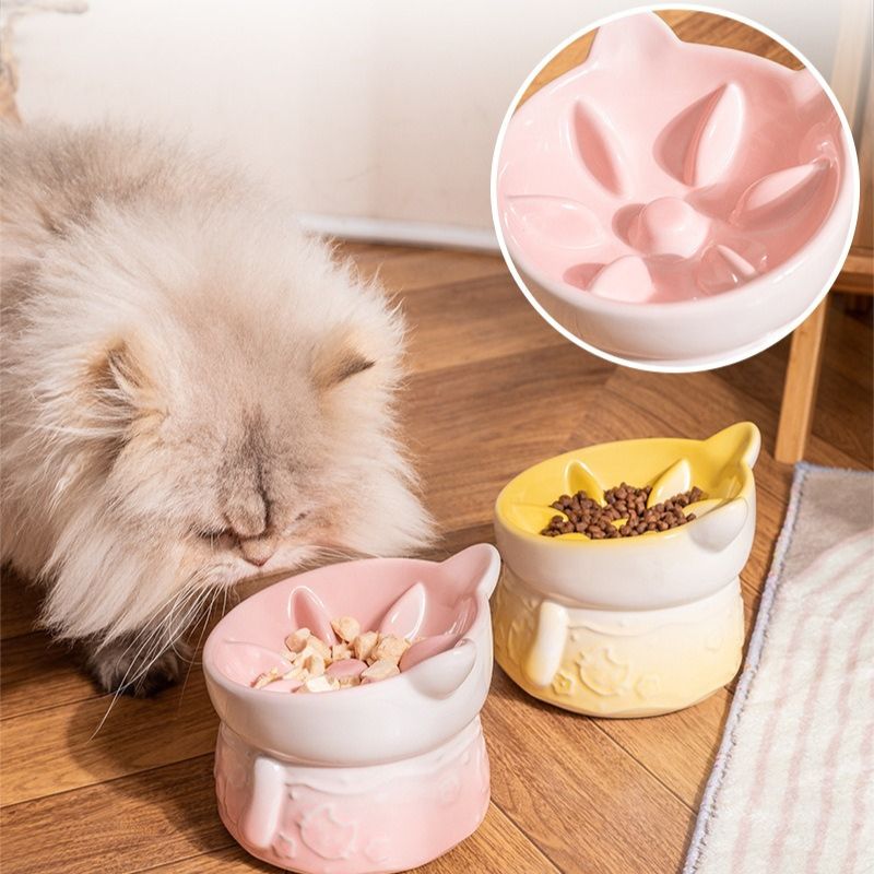 Elevated Ceramic Slow Feeder Bowl cat&small dog｜Anti-Choke Raised Dish