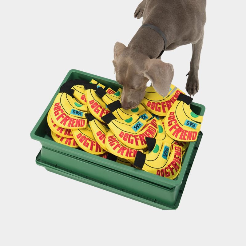 Banana-Shaped Outdoor Training Flying Disc – for dog plush squeaky dog toy