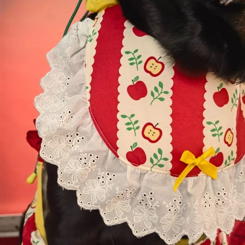 Dog Elbow & Knee Support Sleeve – Joint Protector for Post-Surgery Care & Mobility Support