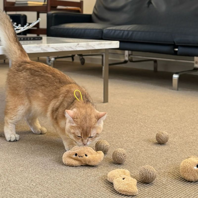 Cat Sniffing & Treat Ball Toy – 2 Hemp Balls + 1 Peanut