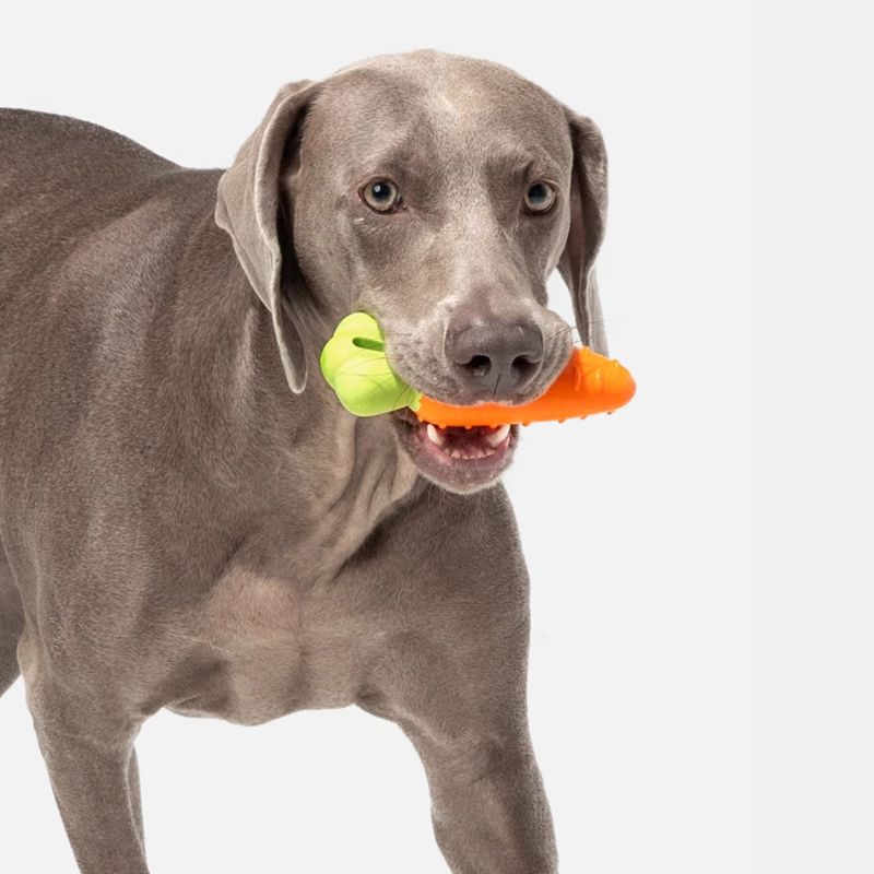 buy2get 1 free Vegetable-Shaped Chew Toy – Soft Rubber Squeaky Toy for Dogs