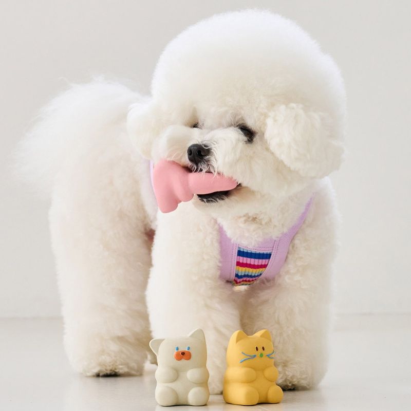 Soft Rubber Squeaky Chew Toy for Dogs – Durable Sound Toy for Teething and Boredom Relief
