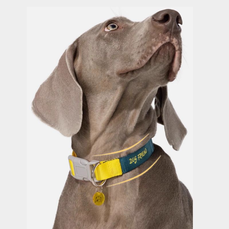 Multi-Functional Dog Leash Set with Quick-Release Handle