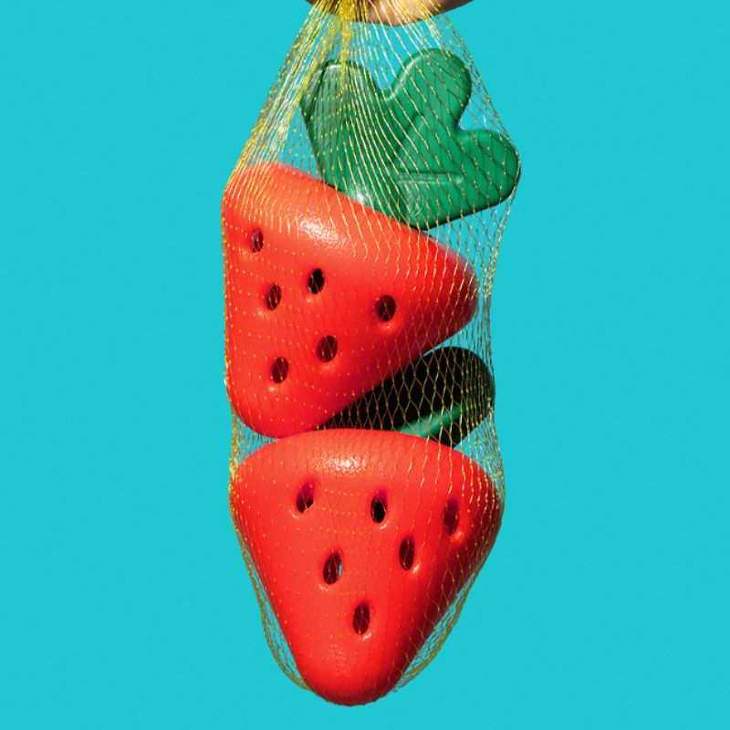 Strawberry Treat Dispensing Toy – Interactive Chew Toy for Dogs,  Anxiety Relief