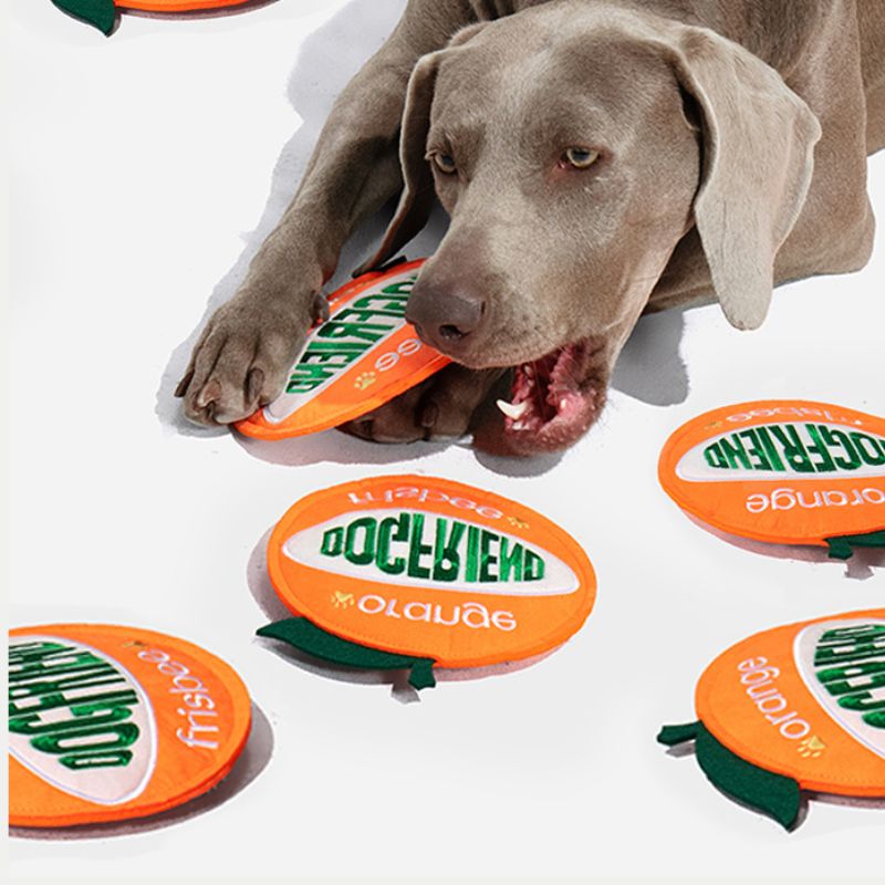 Outdoor Dog Flying Disc Toy