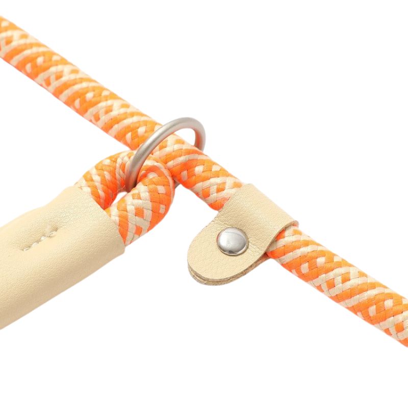 Dog P-Leash | 150cm Climbing-Grade Rope Anti-Pull Leash for Training & Heel Control