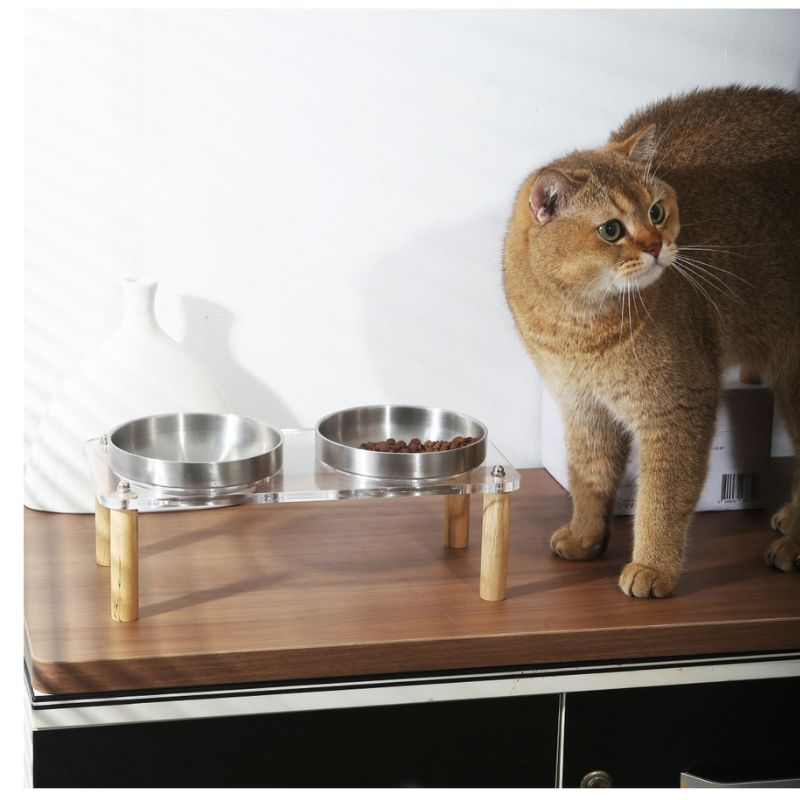 High-Stand Stainless Steel Dog & Cat Bowl set – Split Removable Pet Feeding Dish