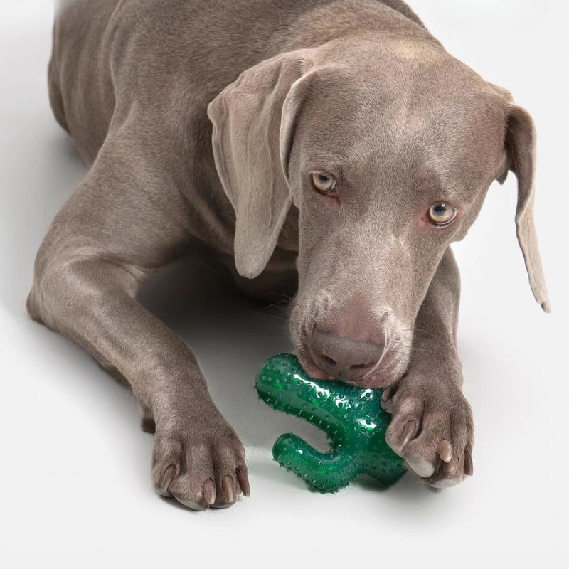Freezable Soft Chew Dog Toy – Water-Fillable Cooling Teething Toy