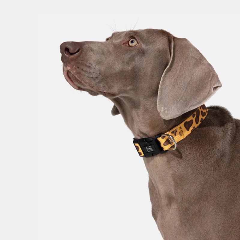 Adjustable Outdoor Dog Collar – Durable Reflective Nylon for Dogs