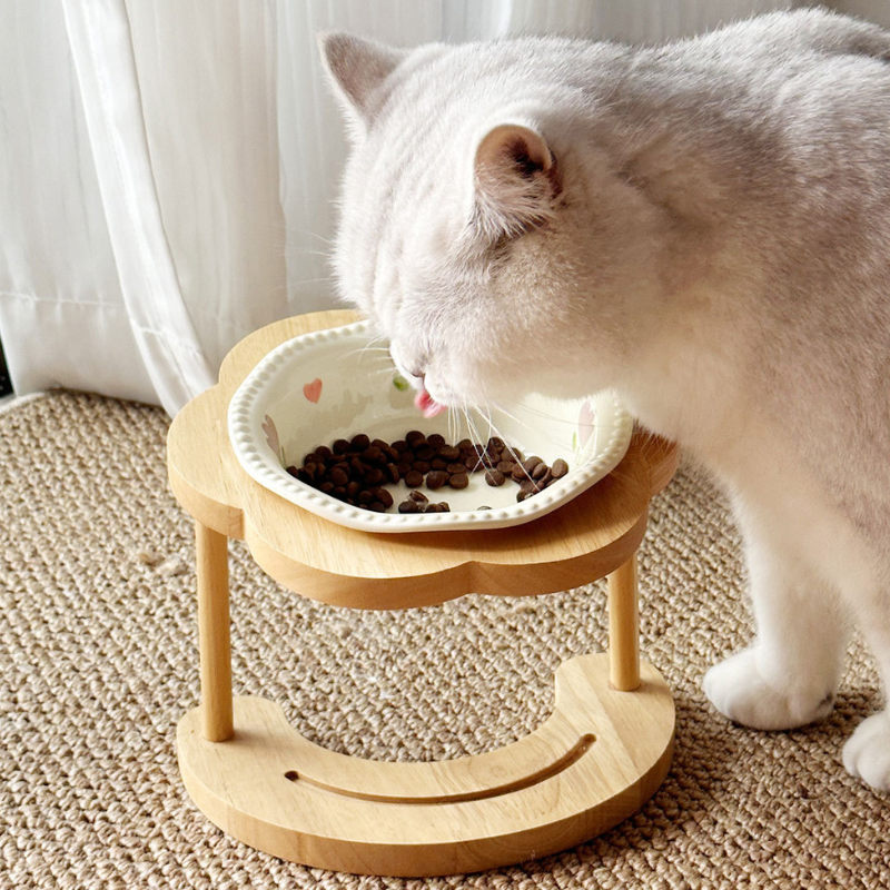 Angled Wooden Elevated Bowl Stand