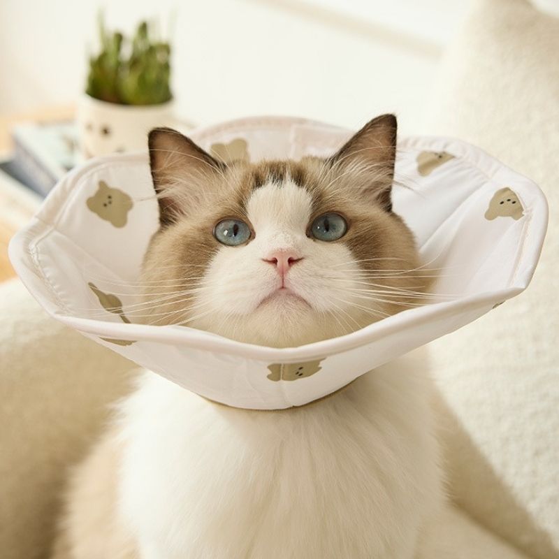 Soft Waterproof Pet Recovery Collar – Anti-Lick & Bite Cone for Cats and Small Dogs