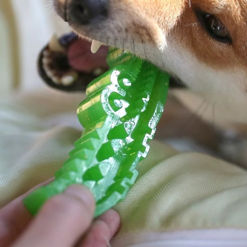 Treat Dispensing Chew Toy – Interactive Food Puzzle Toy for Dogs, Durable Bite-Resistant Enrichment Toy