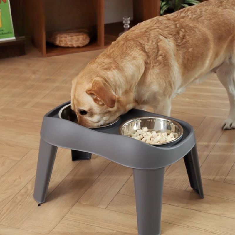 XL Raised Stainless Steel Dog Bowl Set
