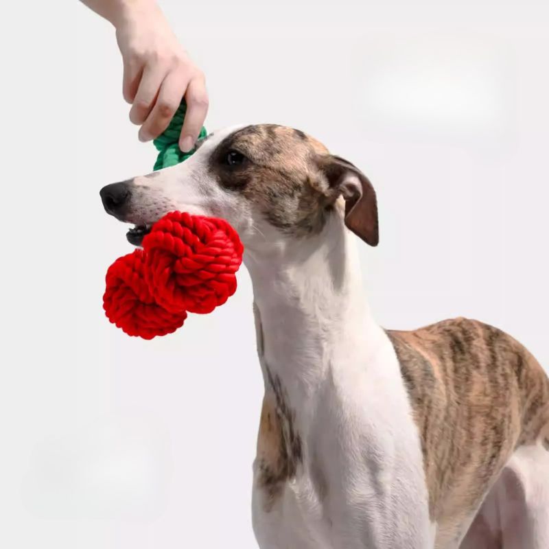 Cherry Rope Toy – Durable Knot Chew Toy for Dogs