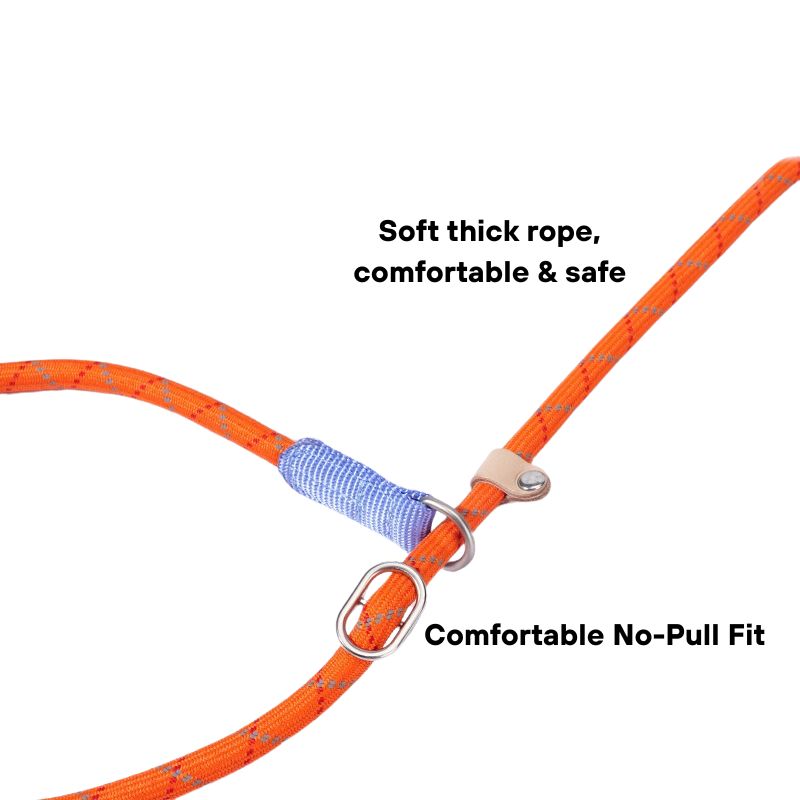 Professional P Dog Leash – Slip Lead for Dog Training(No Pull Design)