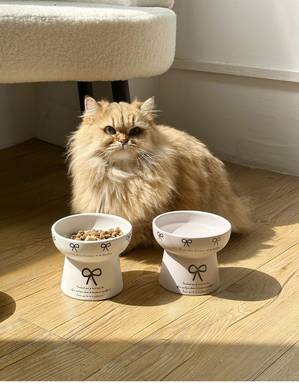 Cute Bow-Decorated Elevated Ceramic Bowl for Pets – Dog and Cat Food Dish