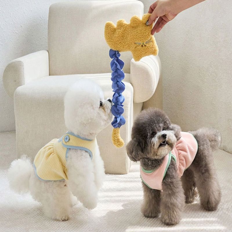 Interactive Treat Dispensing Chew Toy for Pets – Durable Puzzle Food Toy 21*15cm